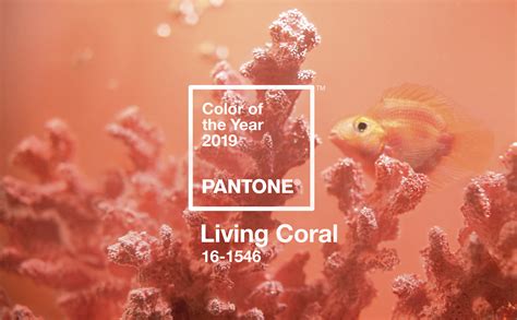 The Pantone Color of the Year 2019 